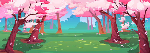Japanese cherry garden with sakura blossom. Spring landscape of park with green grass glade and chinese cherry trees with falling pink flower petals, vector cartoon illustration
