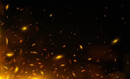 Realistic fire sparks, orange flame light and smoke overlay effect on dark transparent background. Vector illustration of burning hot particles, coal ash flying over bonfire or grill. Design element
