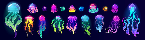 Jellyfish underwater animals, colorful jelly fish deep ocean creatures with long poisonous tentacles isolated set. Tropical medusa aquatic wildlife, beautidul sea life, Cartoon vector illustration
