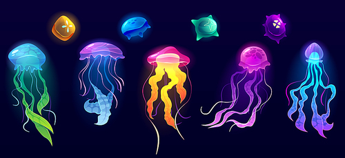 Jellyfish underwater animals, colorful jelly fish deep ocean creatures with long poisonous tentacles isolated set. Tropical medusa aquatic wildlife, beautidul sea life, Cartoon vector illustration