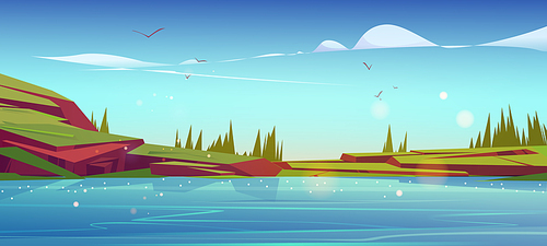 Summer nature landscape with lake, green grass on rocks and conifers trees. Scenery pond with blue clear water and spruces under blue sky with clouds and flying birds, Cartoon vector background