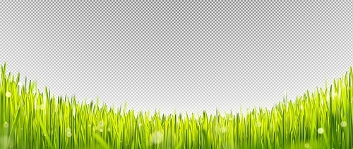 Realistic green lawn grass border with sun light. Easter sunny park field frame for poster with bokeh reflection. Outdoor summer fluffy morning gras panorama. Blur fresh sprout on farm glade