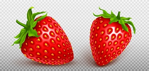 3d fly realistic isolated strawberry fruit icon set on transparent background. Red fresh berry element summer graphic. Seed and stem on whole delicious product clipart. Organic health collection