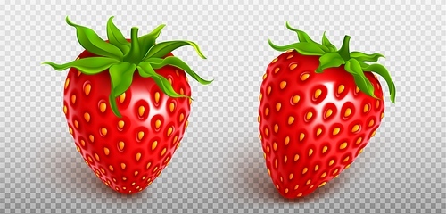 3d fly realistic isolated strawberry fruit icon set on transparent background. Red fresh berry element summer graphic. Seed and stem on whole delicious product clipart. Organic health collection