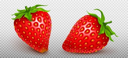 3d strawberries, red fruit isolated on transparent background. Fresh organic food, sweet fruit for jam or juice. Whole natural strawberries with green leaves, vector realistic illustration