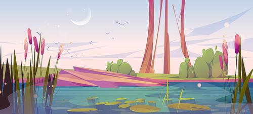 Green swamp and cattail near lake, early morning vector background. Pond with bulrush in park. Calm water surface in river cartoon illustration. Wild nature landscape with crescent and flying birds