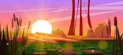 Green swamp and cattail near lake, sunset vector background. Pond in bush, bulrush in park. Dirty water in river cartoon illustration for fantasy game. Wild nature landscape with shining water surface