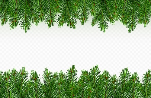 Pine tree branch border realistic vector illustration. Fir twigs with green needles, frame isolated on transparent background. Winter holiday evergreen decoration, spruce or cedar elements