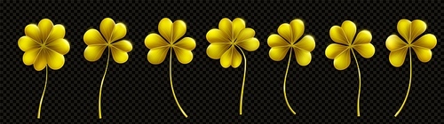 3d gold shamrock St Patrick day leaf clover set isolated on transparent background. Realistic lucky irish four leaves golden grass various design clipart. Ireland celebration celtic symbol collection