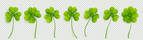 Realistic 3D clover leaves set isolated on transparent background. Vector illustration of green trifoils, decorative plant. Symbol of good luck, chance to success. Saint Patrick Day icons png
