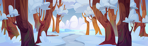 Winter snow forest vector landscape. Path near white tree in cartoon park scene. Sunny day in valley horizon. Cold season and footpath on road between frozen woods, blue sky with cloud
