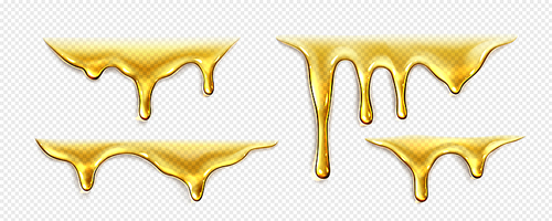 Dripping liquid honey, gold oil or syrup drops isolated on transparent background. Splashes and flows of clear yellow honey or melted caramel, vector realistic set