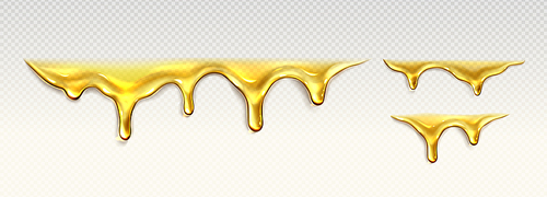 Honey, oil or liquid syrup drips and flows. Drops of clear yellow sauce, melted caramel, honey or argan oil isolated on transparent background, vector realistic set