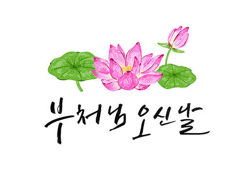 부처님오신날 연꽃