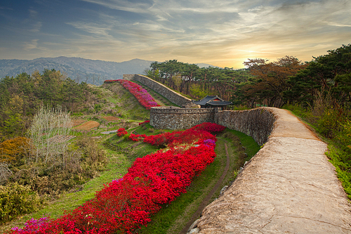 한국의 아름다운 길 100선- 고창읍성