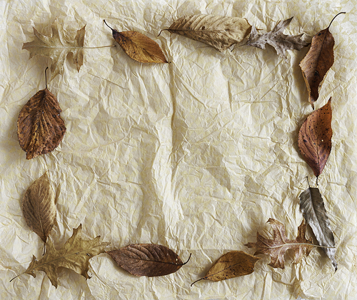 가을 분위기 보더 프레임, 낙엽와 구겨진 빈티지 종이, 카피스페이스, 백그라운드