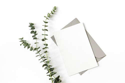 흰색 바탕에 유칼립투스와 목업 가능한 초대장 카드와 봉투를 배열 레이아웃 디자인
