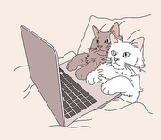 귀여운 고양이 두마리가 노트북을 하고 있다. 손그림 스타일 일러스트레이션.