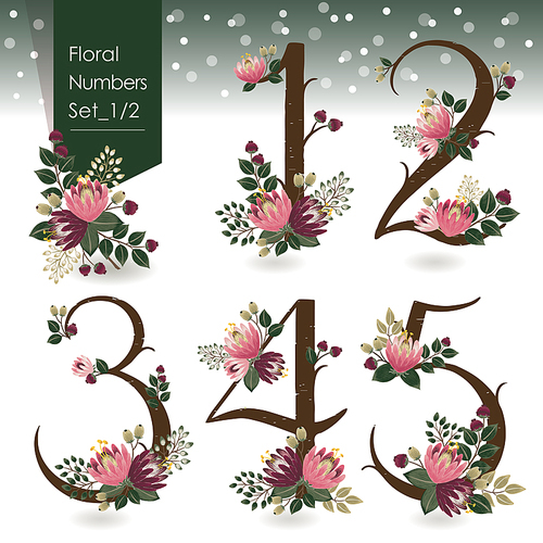 Vector illustration of floral numbers set