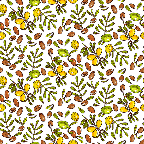 Seamless pattern branches, leaves, nuts, fruits, argan tree ironwood . Suitable for packing Argan oil creams. Vector illustration of a hand drawn style.Texture for scrapbooking, wrapping paper, .