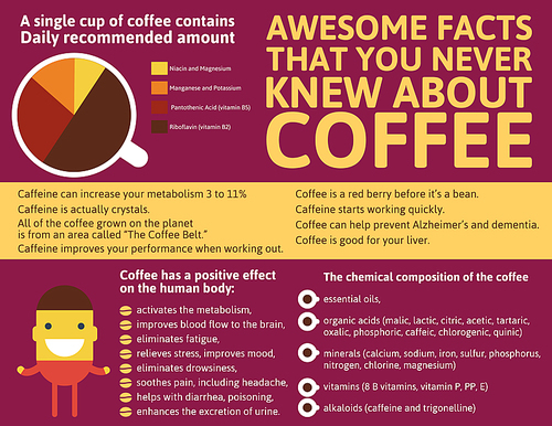 Interesting coffee facts. Coffee infographics. In the flat style.