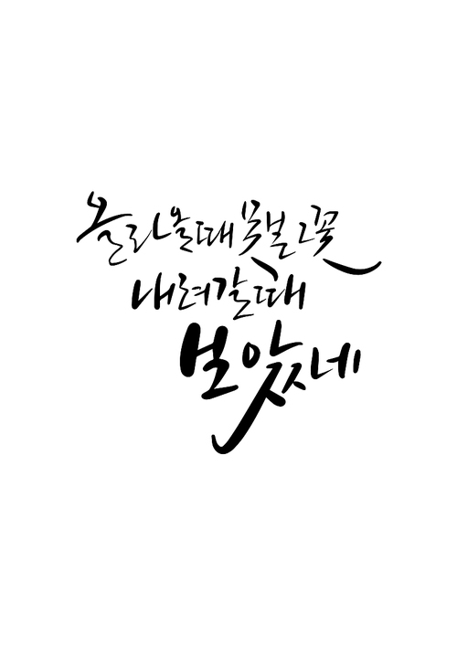 캘리그라피 올라올때 못본 그 꽃 내려갈때 보았네