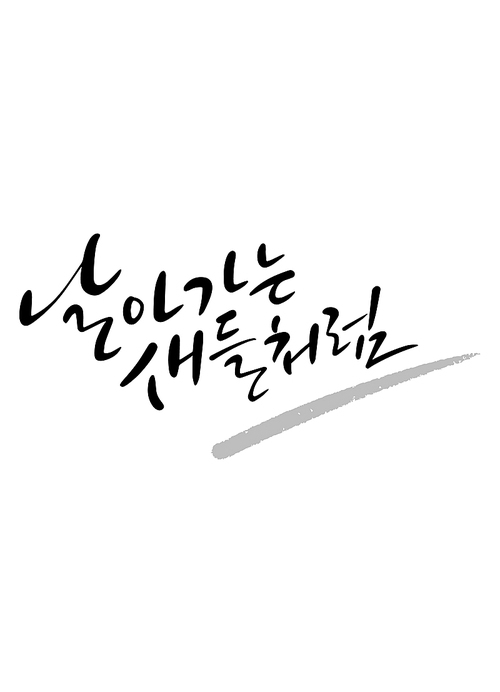 캘리그라피 날아가는 새들처럼