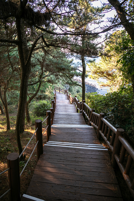 제주도의 서남단 송악산과 모슬포의 가을풍경