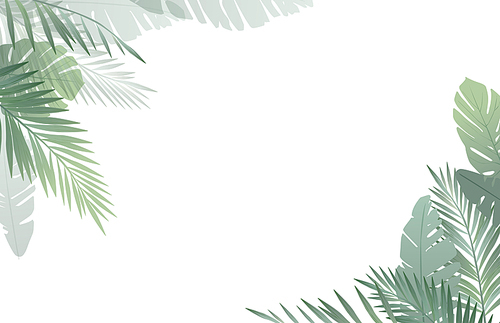 트로피컬 일러스트레이션. 야자수 배경. tropical frame illustration.