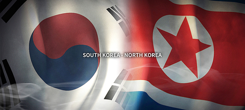 한국과 북한의 글로벌 비지니스 컨셉 국기 3d background. south korea and north korea flag.