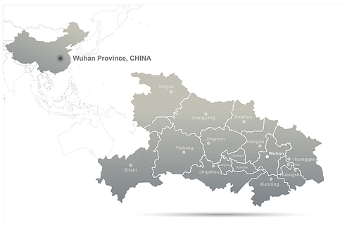 중국 우한 지도. china vector map.