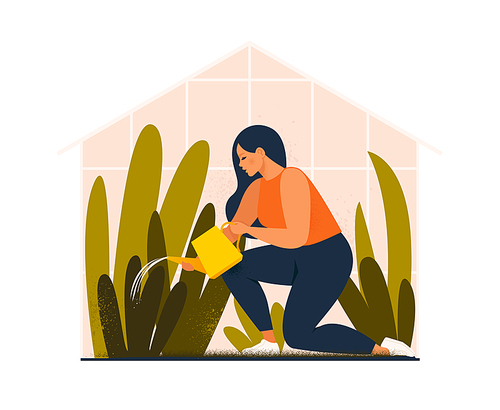 Lovely young woman or gardener taking care of home garden, watering houseplants growing in greenhouse. Flat cartoon vector illustration