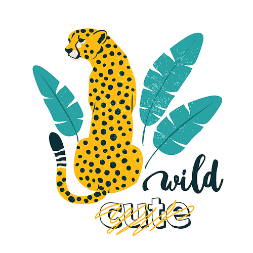 Wild slogan. Leopard. Typography graphic , fashion drawing for t-shirts. Vector stickers, , patches vintage