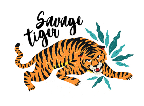 Savage Tiger. Vector illustration of tiger with tropical leaves. Trendy design for card, poster, tshirt and other use.