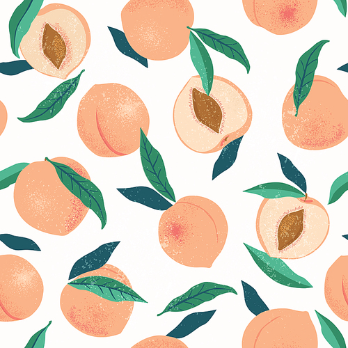 Peach or apricot seamless pattern. Hand drawn fruit and sliced pieces. Summer tropical endless background. Vector fruit design for label, fabric, packaging