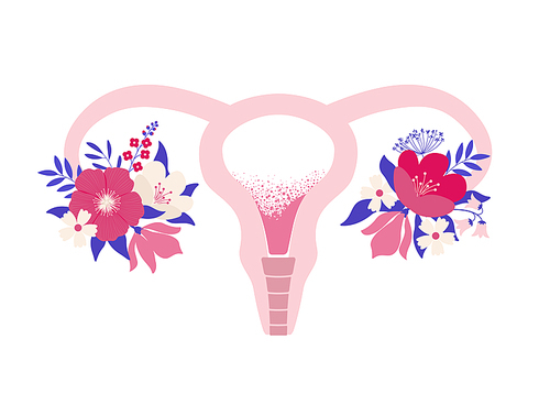 Beauty female reproductive system with flowers. Hand drawn uterus, womb female reproductive sex organ and flowers.Vector illustration