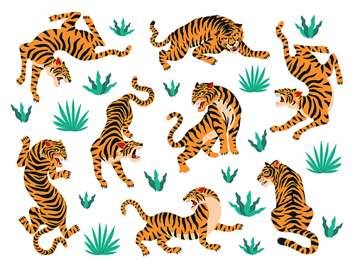 Vector set of tigers tropical leaves. Trendy illustration.