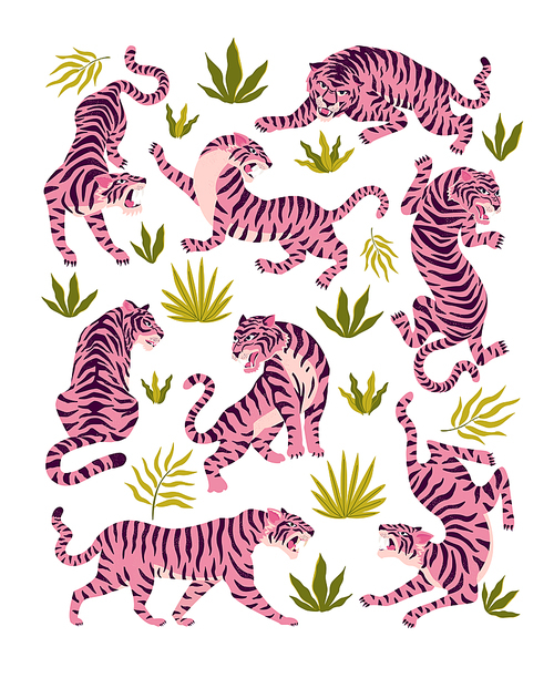 Set of pink tigers and tropical leaves. Trendy illustration