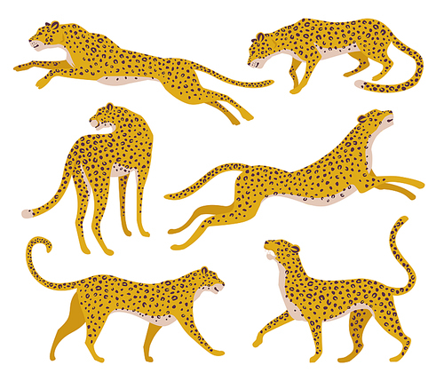Set abstract silhouettes of leopards. Vector hand draw design.