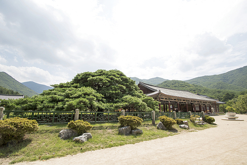 한국의 사찰 046