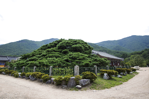 한국의 사찰 003