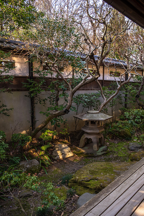 작고 아담한 일본의 작은 뒷마당 정원