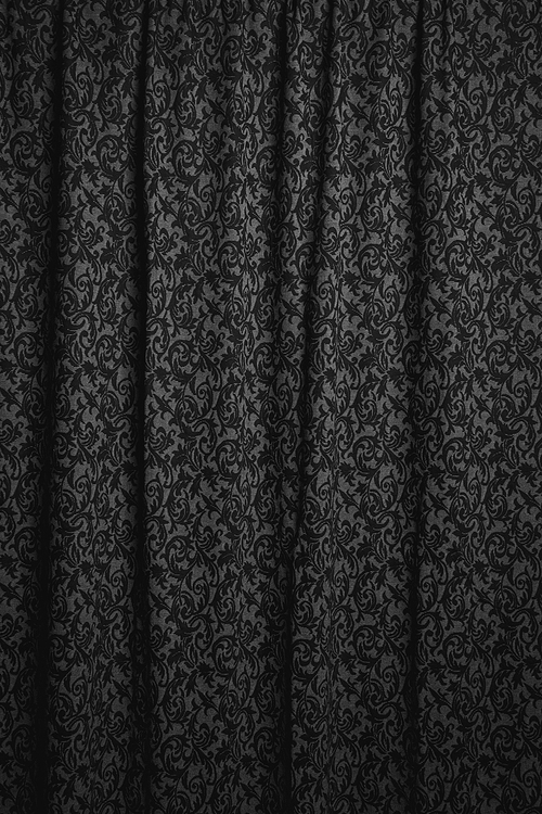 페이즐리 패턴의 검은색 커튼