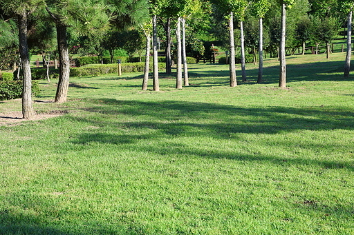수목원 - 잔디밭 풍경