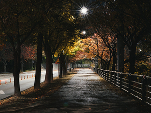 가을 밤길 산책