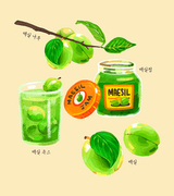 수채화 매실모음