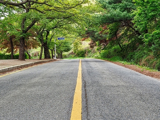 한국 청주시 우암산 숲 도로