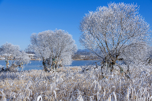 충주 남한강의 겨울 풍경