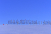 일본 홋카이도 비에이의 겨울 풍경