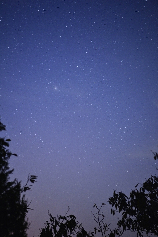 별이빛나는밤